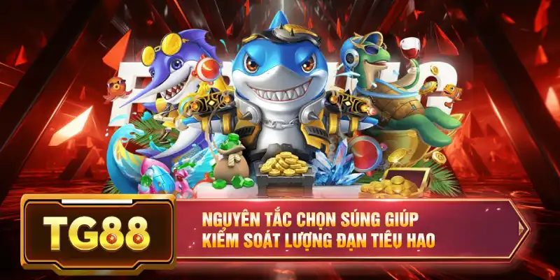 Nguyên tắc chọn súng giúp kiểm soát lượng đạn tiêu hao