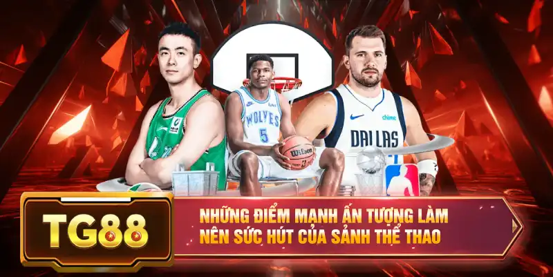 Những điểm mạnh ấn tượng làm nên sức hút của sảnh thể thao